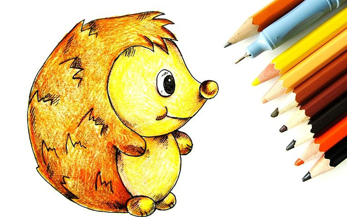 Ежик для начинающих. Ежик рисунок. Ежик карандашом. Еж цветными карандашами. Ёжик рисунок карандашом цветным.