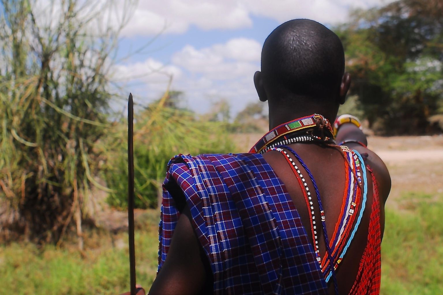 7523944-maasai-4521843_1920.jpg