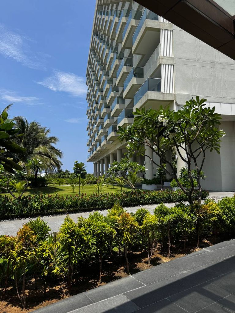 5202148068223029926.jpg